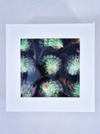 Kerstboom met ster 9 st. in giftbox per 6 st.