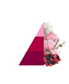 Wasparfum Petali di Peonia 500ml