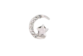 To the Stars and the Moon Silver
