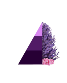 Wasparfum Aromatic Lavender 50ml