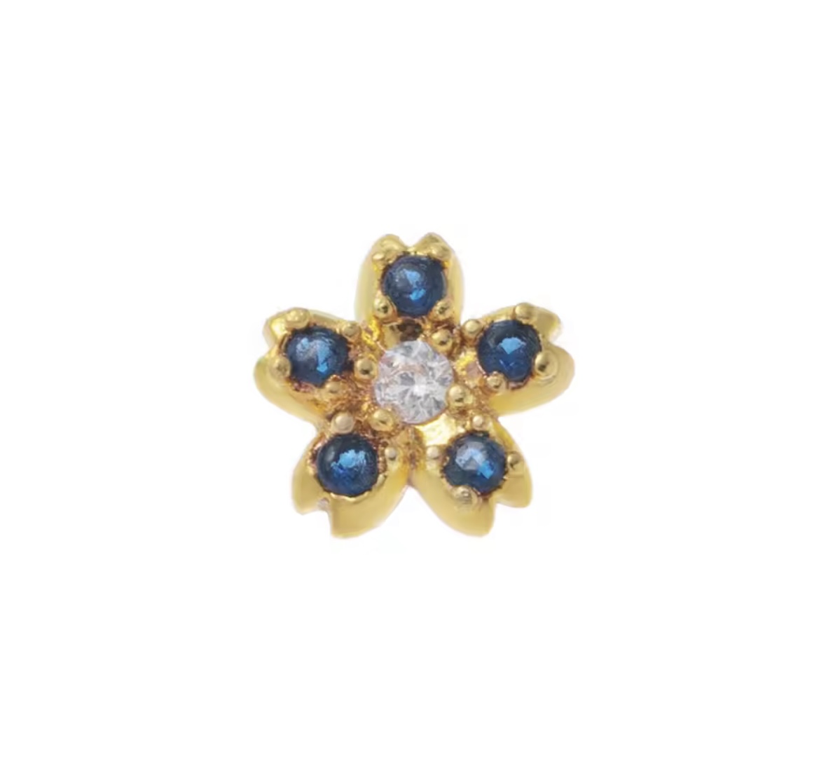 Blue Little Flower