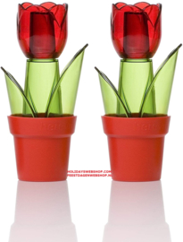 Herevin Set Salt and Pepper Shaker - Tulips