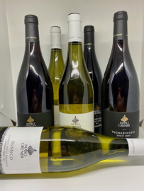 Maso Grener actie wijnpakket (6 flessen): Bianco (3x) + Vignabindesi Pinot Nero (3x)