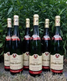 Achille Thirion wijnpakket (6 flessen): Pinot Blanc (2x), Pinot Gris (2x), Gewurztraminer (2x)