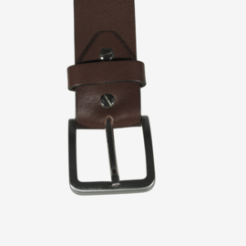Missouri Bruin 3,8 cm