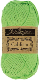 Scheepjes Cahlista 513 apple granny