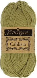 Scheepjes cahlista 395 willow