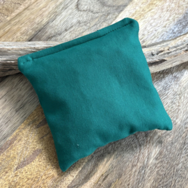 Pittenzakje groen
