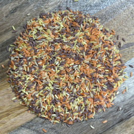 Speelrijst mix herfst