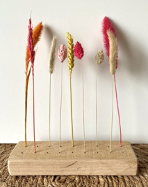 Veren & droogbloemen plankjes