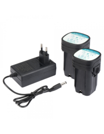 Elektrische kettingzaag Smart