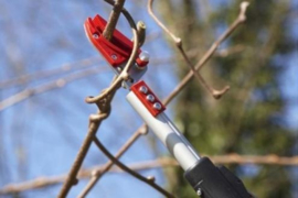 Uitschuifbare snoeischaar