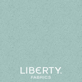 Liberty 01666104A