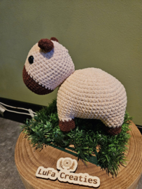 Capibara Chris