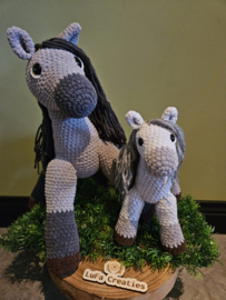 Pony Silver en Veulen Pip