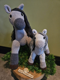 Pony Silver en Veulen Pip