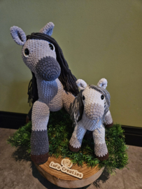 Pony Silver en Veulen Pip