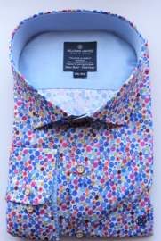 Fellows LM coloured dots