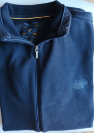 Monte Carlo vest
