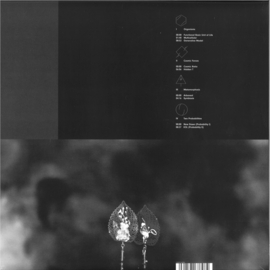 Enrico Sangiuliano - Biomorph LP 2x12" - DC190 | DrumCode