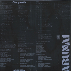 ABUNAI - Chrysalis LP - TARTALB017LP | Tartelet Records