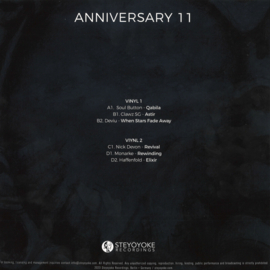 Various Artists - Steyoyoke Anniversary Vol. 11 (2x12") - SYYK190 | Steyoyoke
