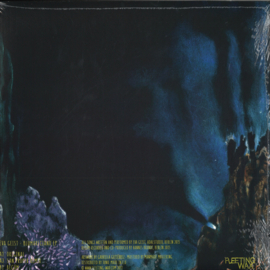 Eva Geist - Blumareciano Ep - FW004 | Fleeting Wax