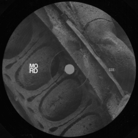 Pfirter - A Kingdom Falls EP - MORD086 | Mord Records