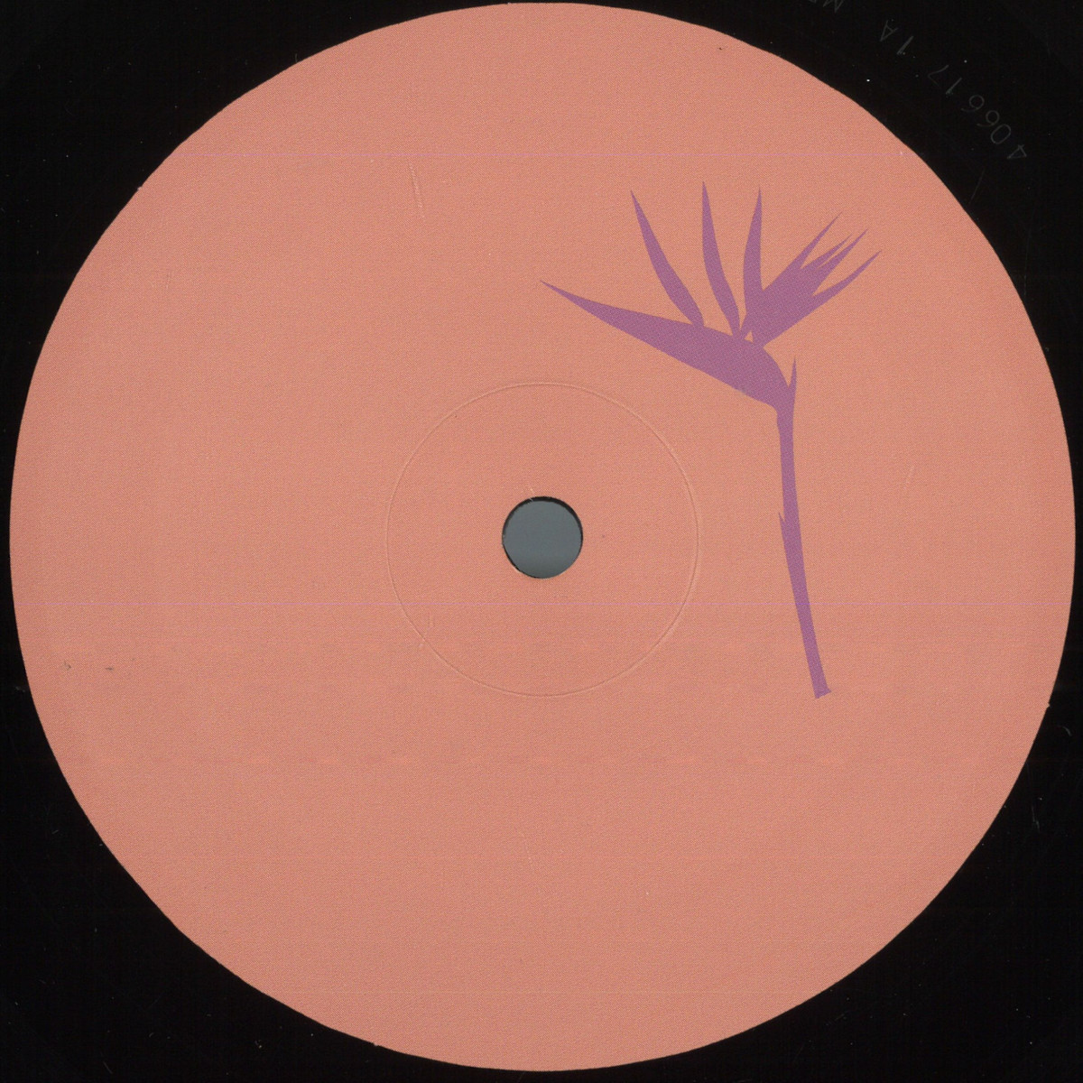 Daniel Meister - Lanao Izany EP - PRP016 - Purple Print