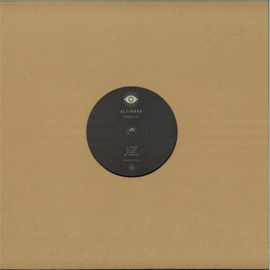 ALTINBAS - PARALLEL - OS004 | OBSERVER STATION