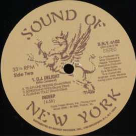 Indeep - Last Night a DJ Saved My Life (Tony Humphries) - SNY5102 | Sound of New York