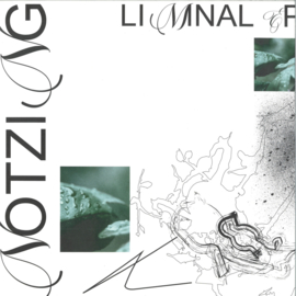 Notzing - Liminal EP - WU86 | Warm up