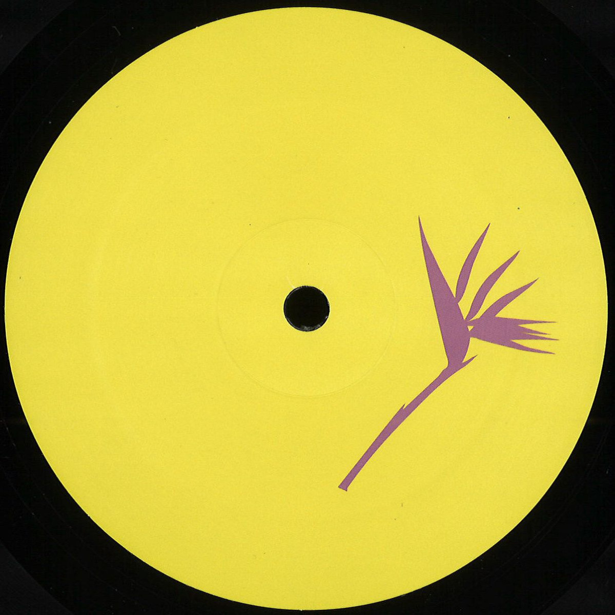 Costin Rp Remix Floog - Things For The Soul EP - PRP004 - Purple Print