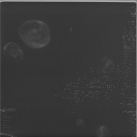 Feral - Crossroads - HYPNUS034RP | Hypnus Records