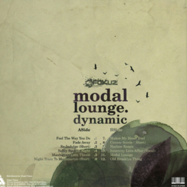 Dynamic - Modal Lounge LP - FOKUZLP009 | Fokuz Recordings