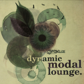 Dynamic - Modal Lounge LP - FOKUZLP009 | Fokuz Recordings