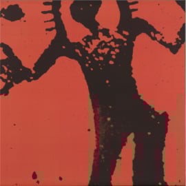 Various - 5 Years Of Danza Nativa Pt II - DN016PT2 | Danza Nativa