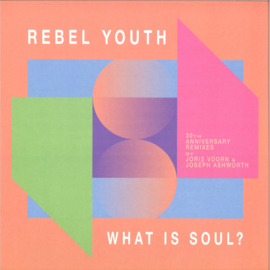 Rebel Youth - What is soul? (30th anniversary remixes) - SYST0134-6 | Systematic Recordings