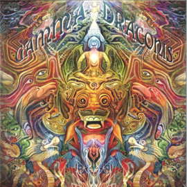 Various - Gamma Draconis 2x12" - SUNCDLP01RP | Suntrip Records