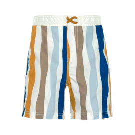 Board shorts Waves Blue Nature