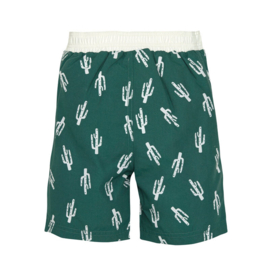 Board shorts Cactus Green