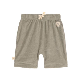 Terry Short Olive