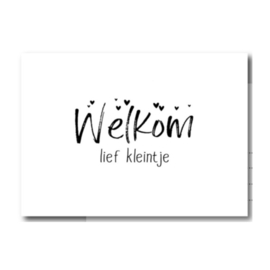 ansichtkaart welkom lief kleintje