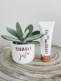 Bloempotje ‘bedankt juf’ met vetplantje