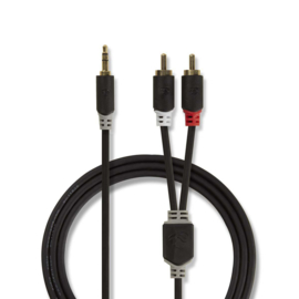 3.5mm (m) to 2x RCA (m) 2m