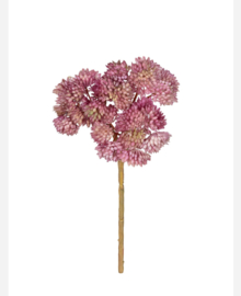 Sedum kunst tak oud roze
