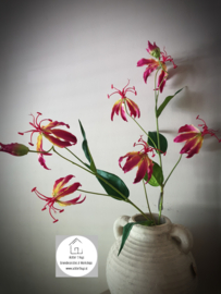 Kunst gloriosa Michelle Burgundy