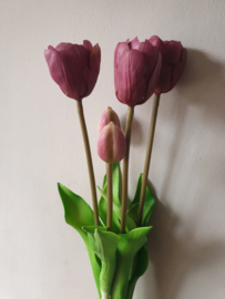 Real toch dubbele tulp 44 cm donker roze