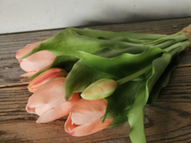 Real toch tulpen zalmroze 5 stelen