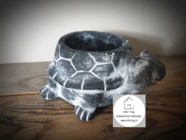 Bloempot schildpad